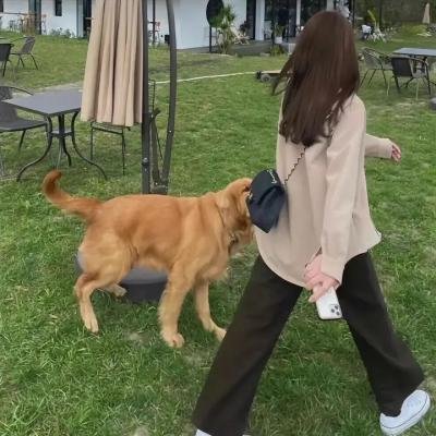 恐怖间谍第一季